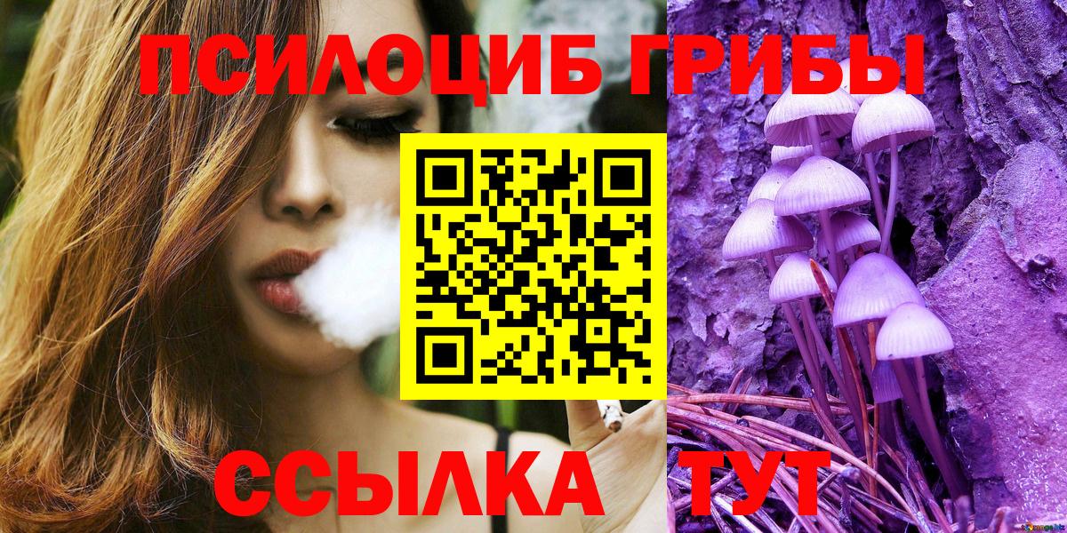Псилоцибиновые грибы Psilocybine cubensis  Галлюциногенные грибы GOLDEN TEACHER  Людиново  Вход с VPN 