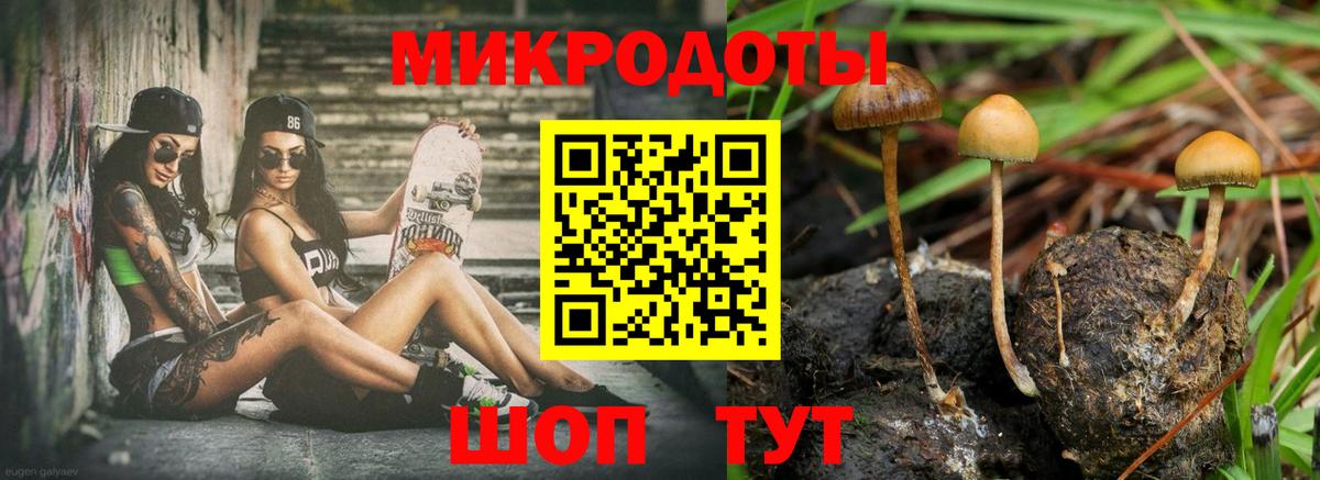Псилоцибиновые грибы Psilocybine cubensis Людиново